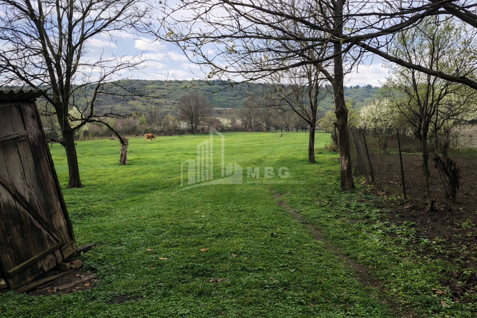 For Sale Old building House - Villa In Dzalisi, Mtskheta