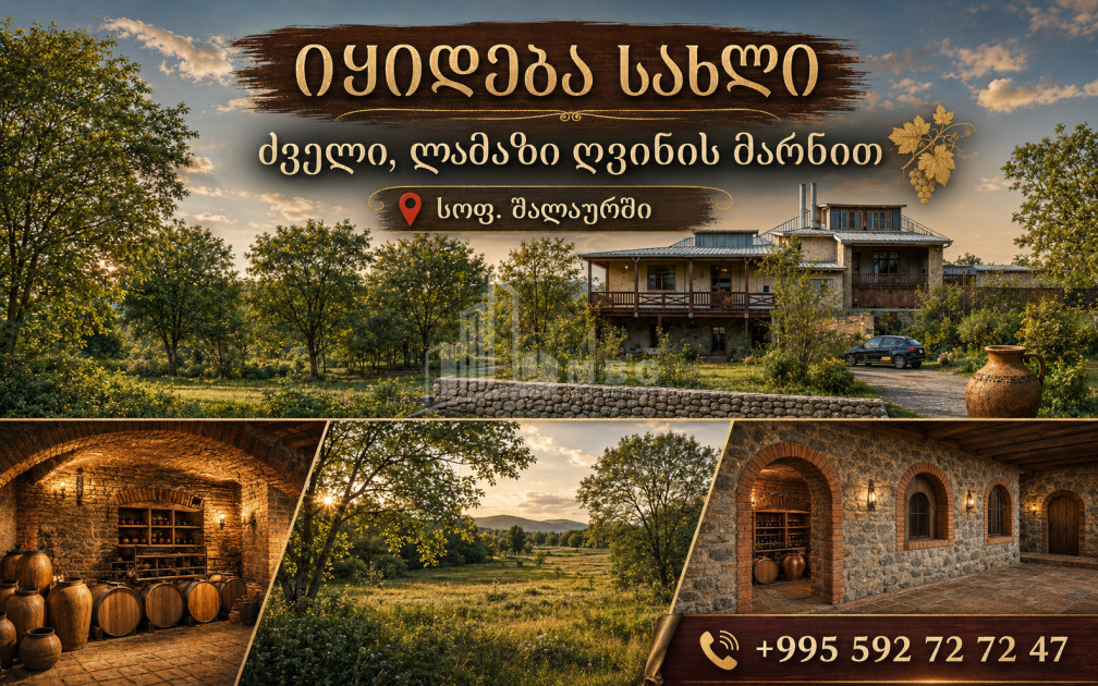 For Sale Old building House - Villa In Shalauri, Telavi