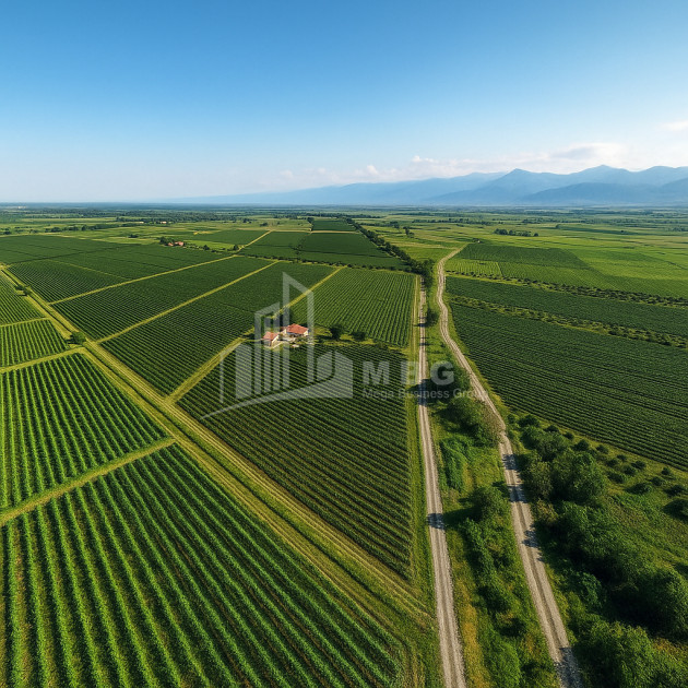 For Sale Land Kvareli Kakheti
