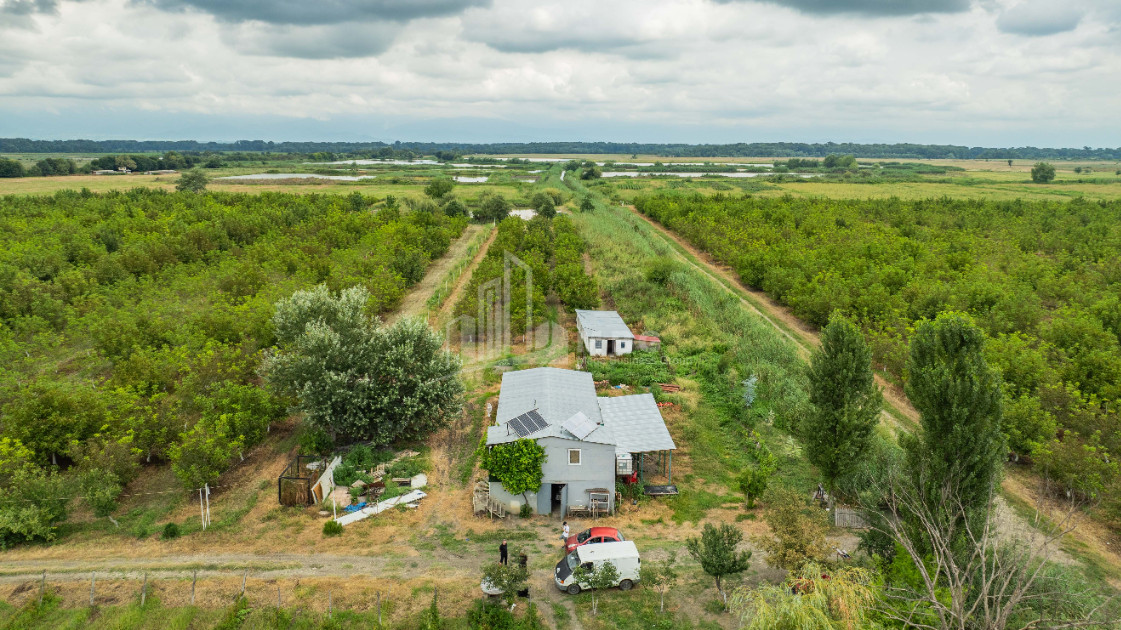 For Sale Land Kakheti