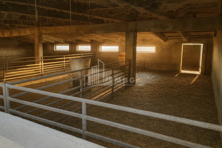 Продается Земля Зинобиани Кварели Кахети