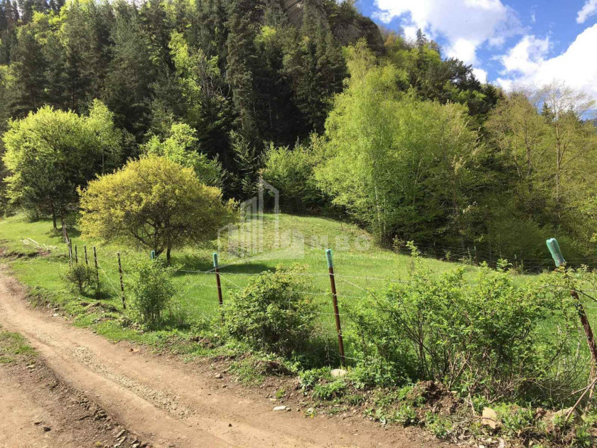 For Sale Land, Zemo Boshuri, Gori Municipality, Municipalities of Shida Kartli