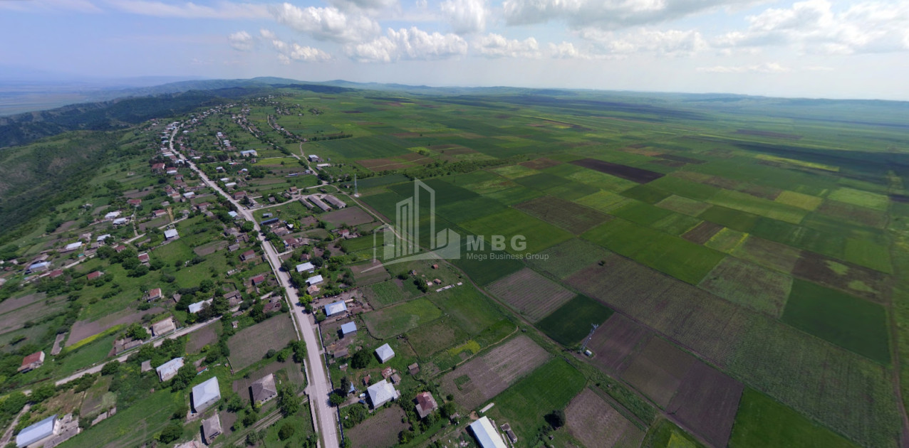 For Sale Land Samtatskaro Dedoplistskaro Kakheti