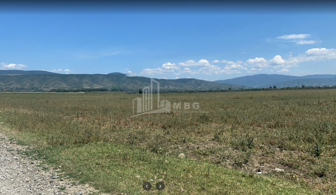 For Sale Country Land, in Tsilkani
