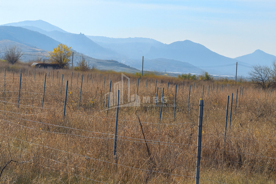 იყიდება მიწის ნაკვეთი სოფელი შაუმიანი მარნეული ქვემო ქართლი