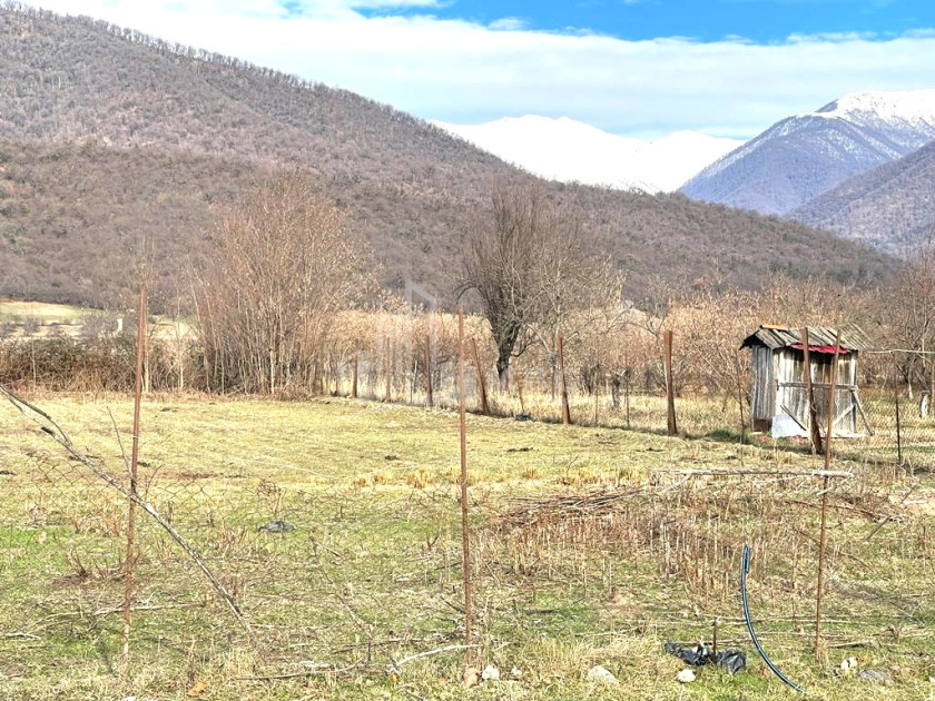 For Sale Land Artana Telavi Kakheti