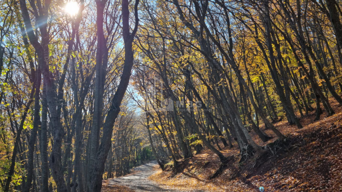 Продается Дом - Вилла В Коджори, Мтацминда Район