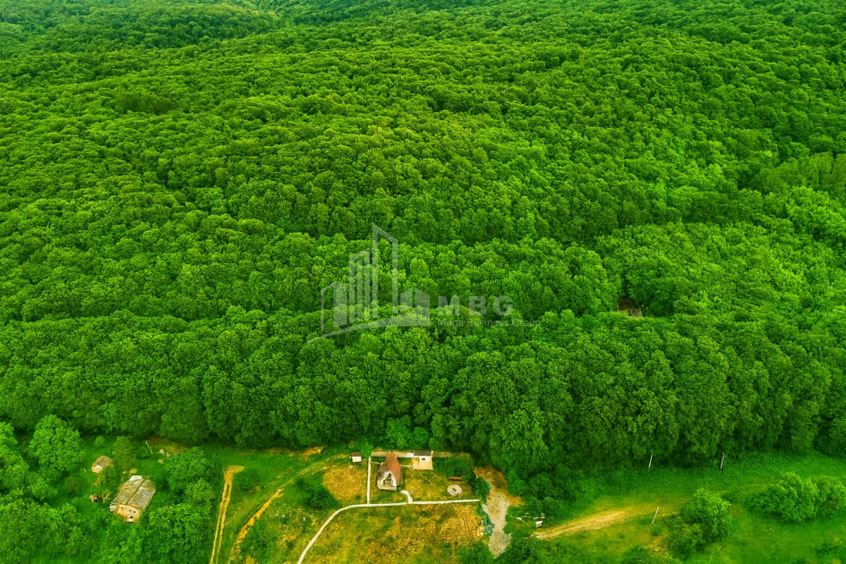 For Sale House Villa Tskhvarichamia Mtskheta Mtskheta   Mtianeti