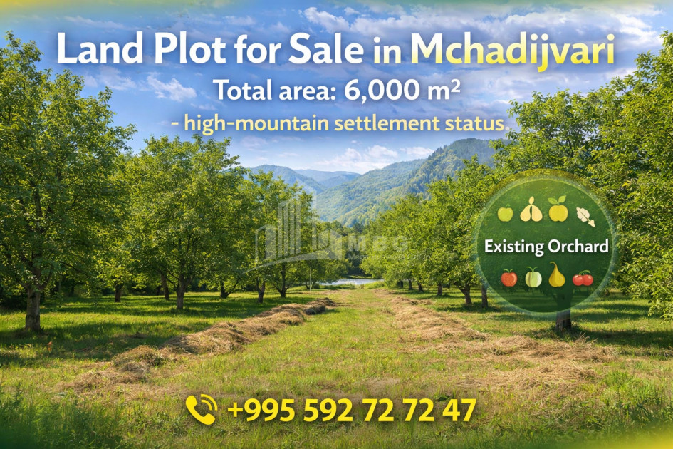 For-Sale-Land-Mchadijvari-village-Dusheti-Mtskheta---Mtianeti