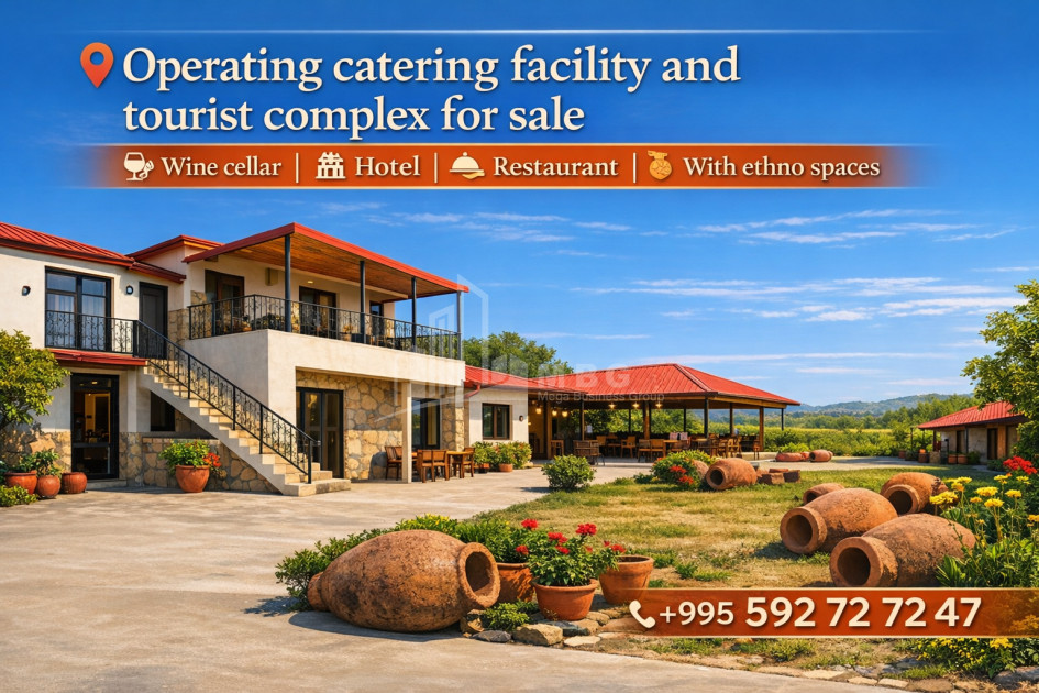 For Sale Food facility Commercial In Velistsikhe, Gurjaani