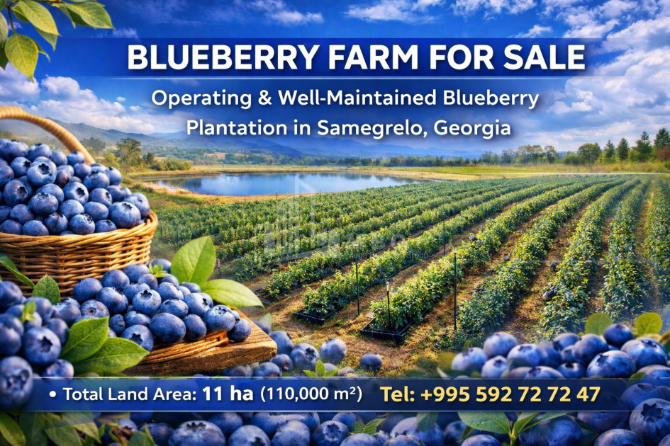 For Sale Land Samegrelo