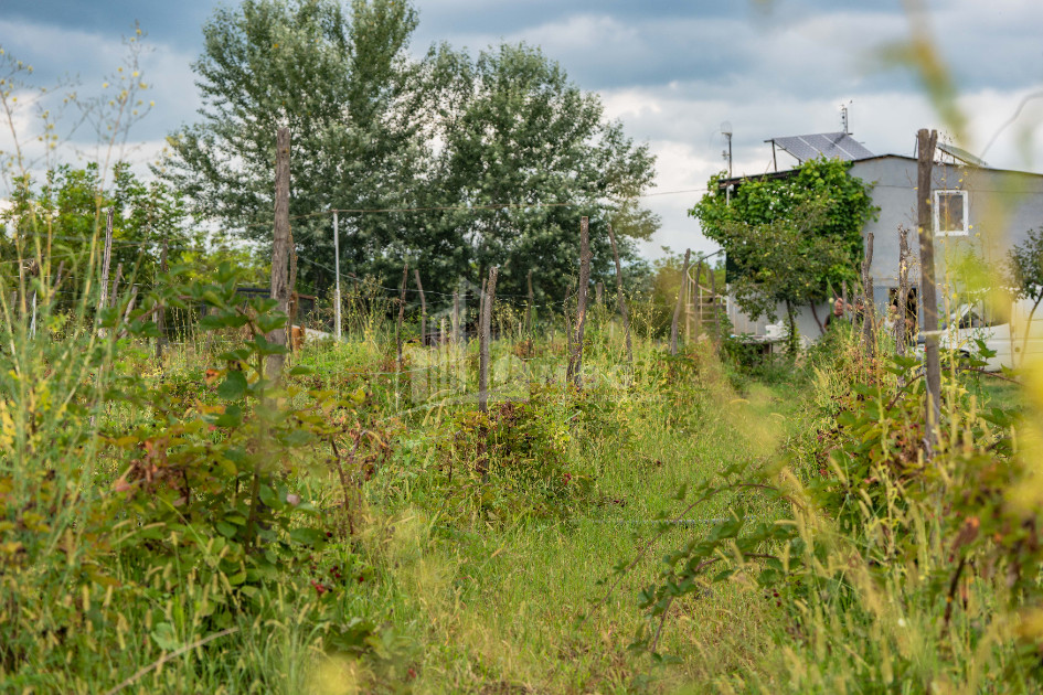 For Sale Land Kakheti