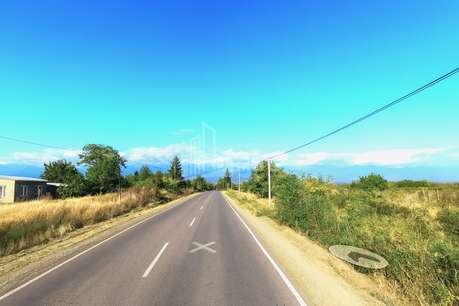 For Sale Land Kurdghelauri Telavi Kakheti