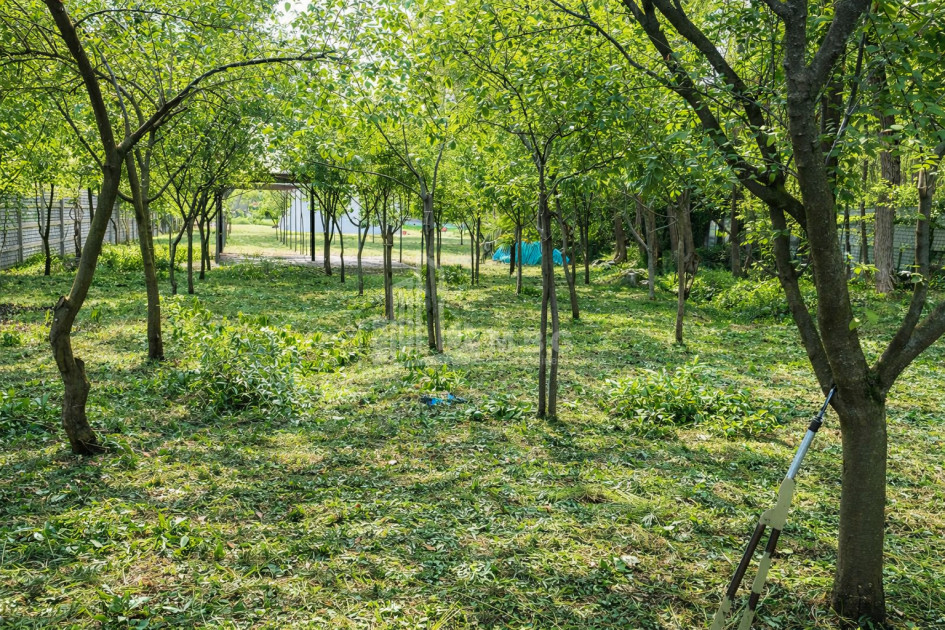 Business for sale Commercial Telavi Kakheti