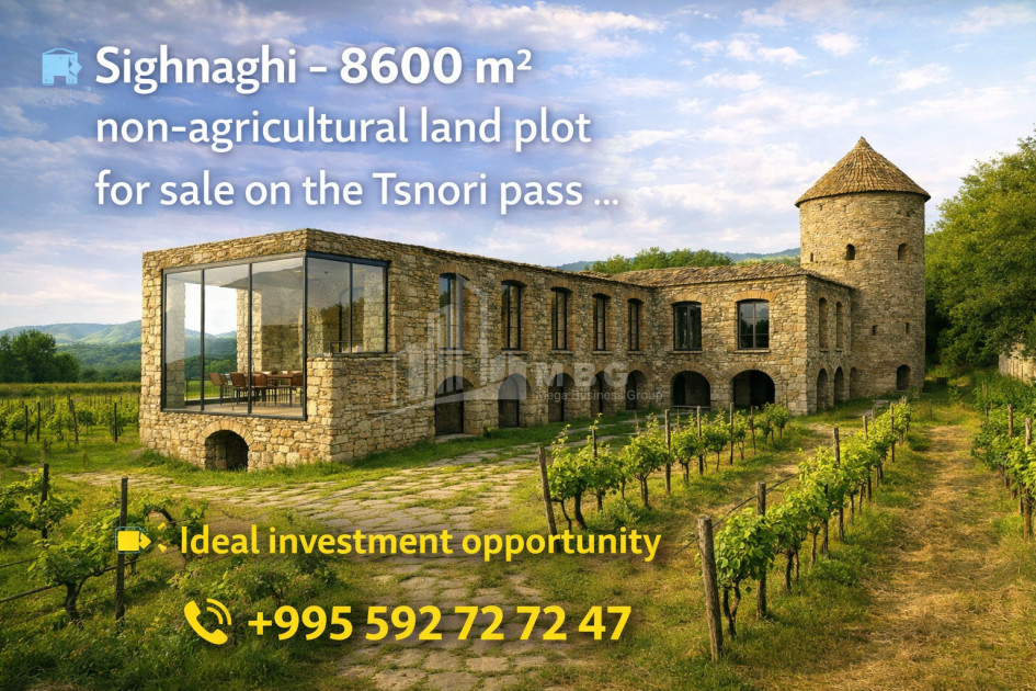 იყიდება მიწის ნაკვეთი სიღნაღი კახეთი