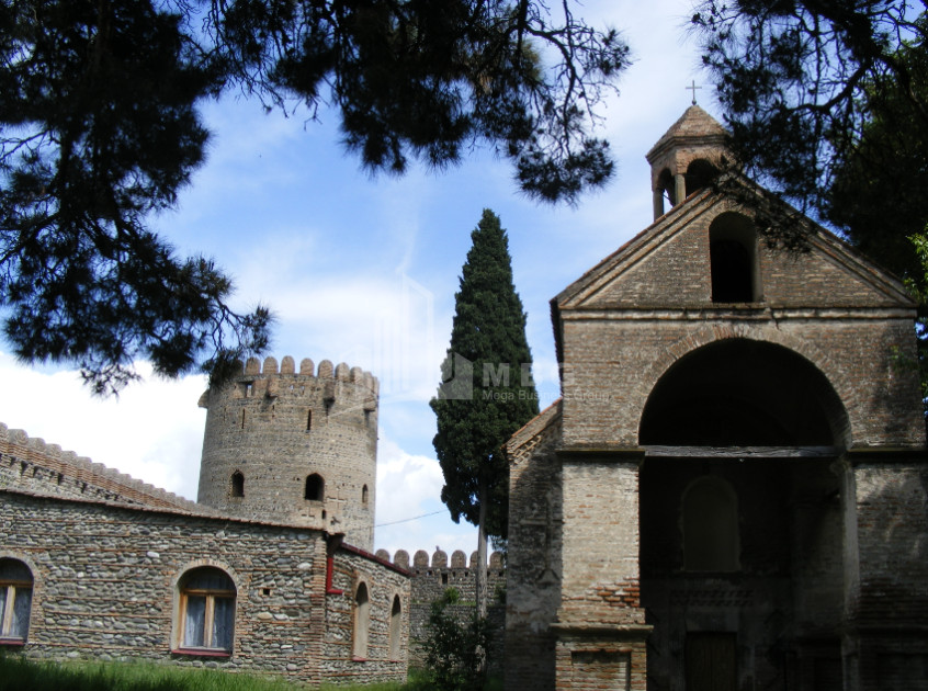 For Sale Land Mukhrani Mtskheta Mtskheta   Mtianeti