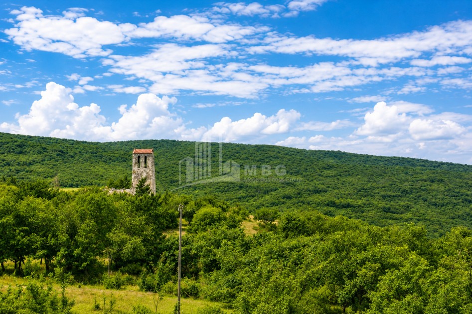 For Sale Country Land In Iltosa village, Dusheti