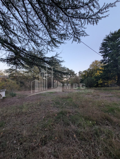 For Sale Commercial Akhmeta Kakheti