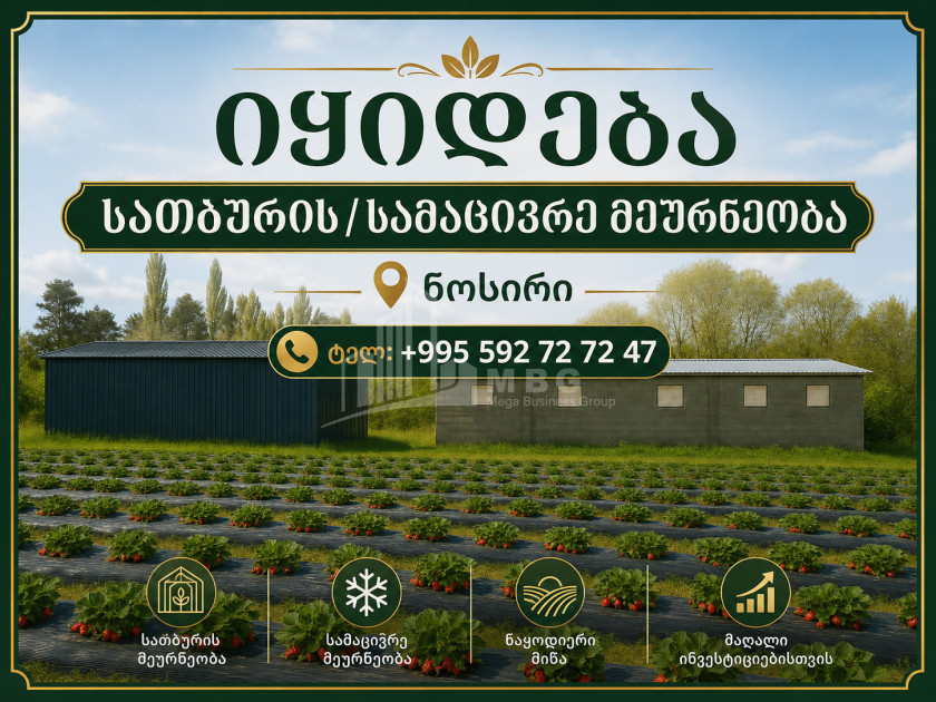 For Sale Farm Greenhouse Land In Nosiri, Senaki