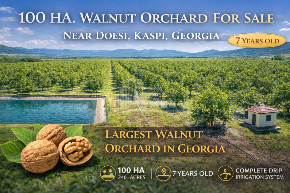 For Sale Land Does Kaspi Shida Kartli