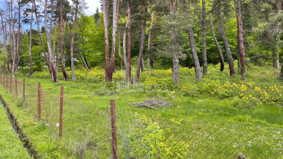 იყიდება სააგარაკე მიწის ნაკვეთი, ონი