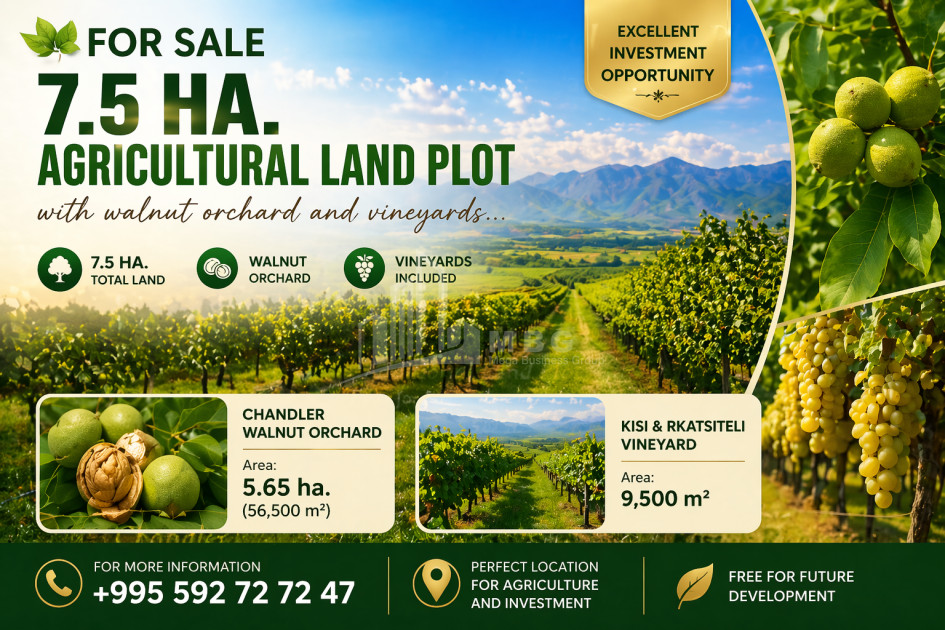 იყიდება ხეხილის ბაღი მიწის ნაკვეთი წინანდალში, თელავი