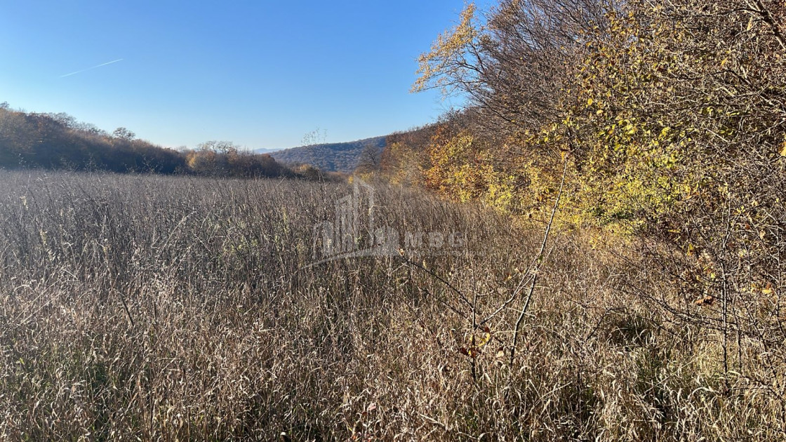 Продается Земля Базалети Душети Мцхета   Мтианети