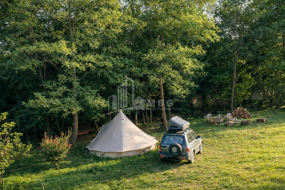 Business for sale Commercial Telavi Kakheti