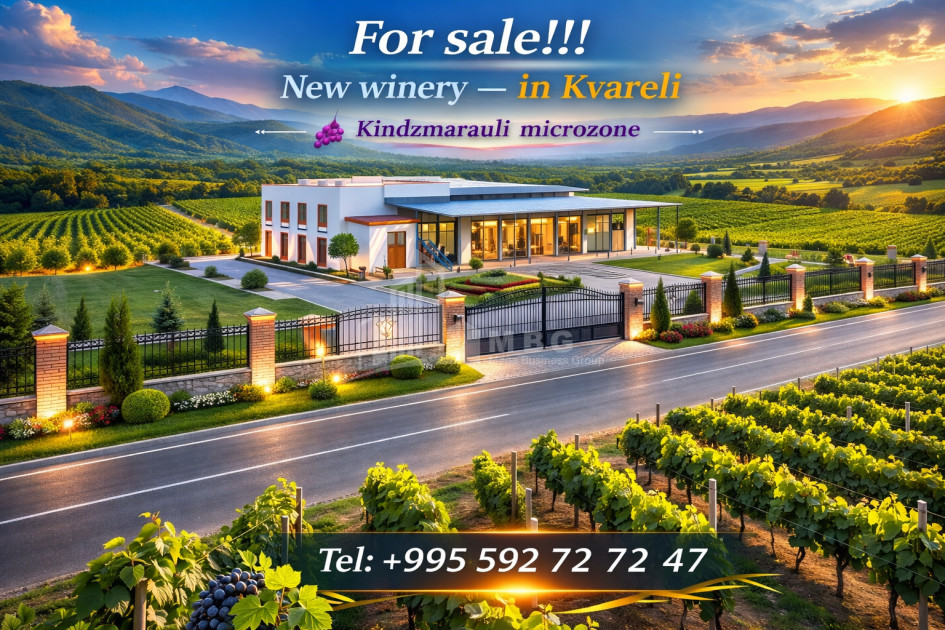 For Sale Chateau / Wine factory Commercial In Kvareli