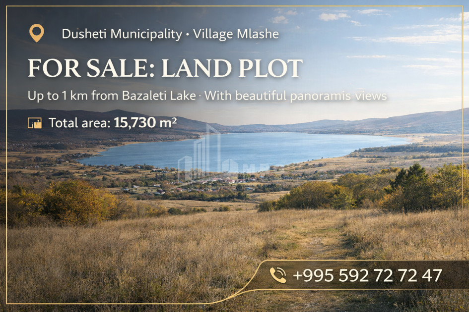 For Sale Country Land In Bazaleti, Dusheti