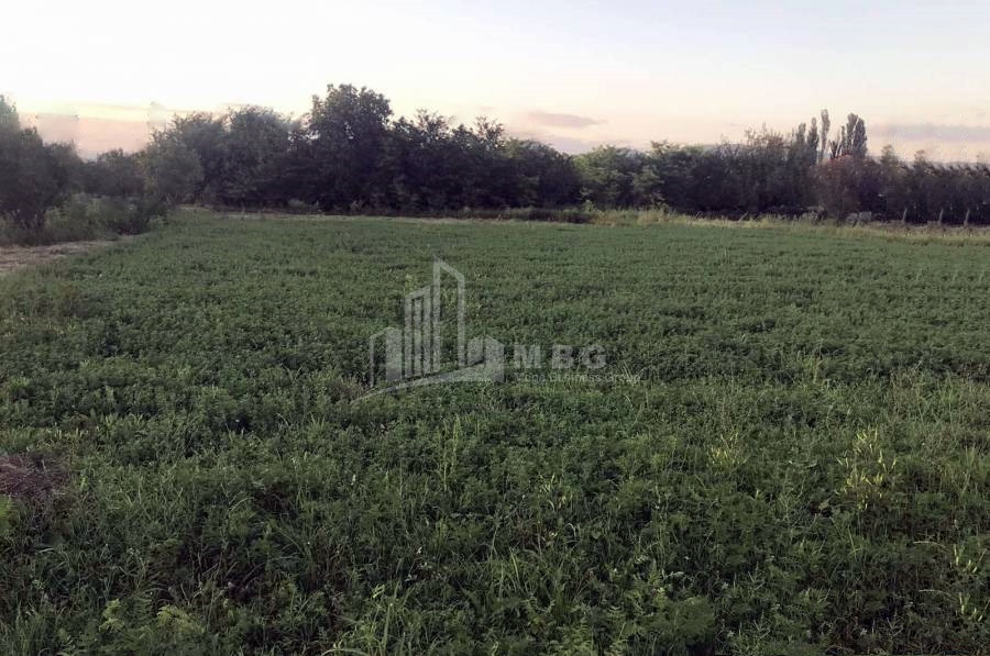 For Sale Land Mukhrani Mtskheta Mtskheta   Mtianeti