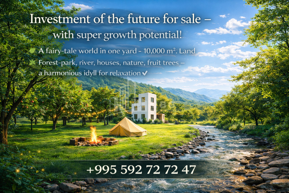 Business/Investment for Sale Leisure _ Entertainment complex Commercial In Telavi