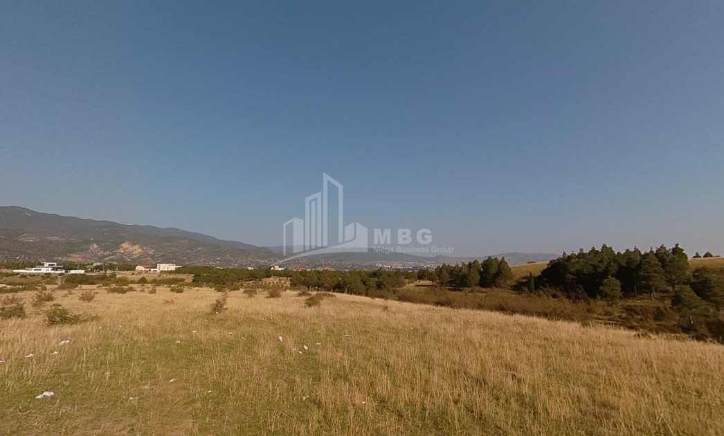 Продается Земля Улица Кошигора Дигмис Чала Сабуртальский Район Тбилиси