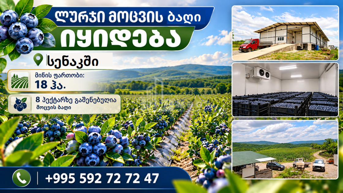 For Sale Orchards Land In Senaki