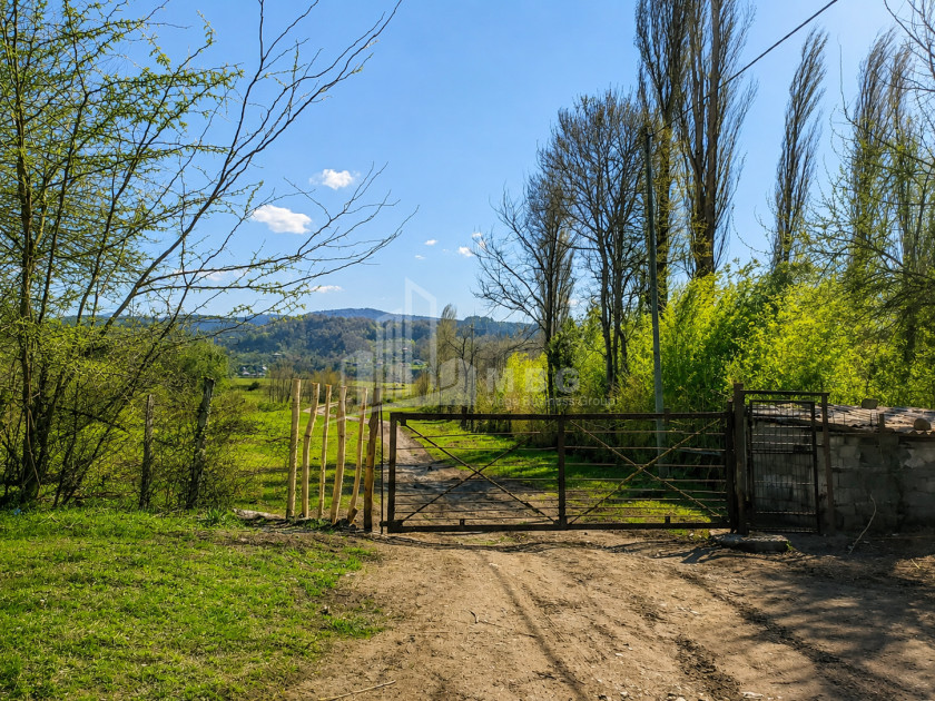 For Sale Orchards Land In Abasha