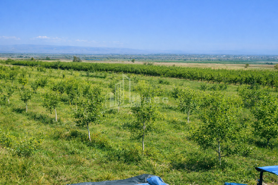 For Sale Land Village Shaumiani Marneuli Kvemo Kartli