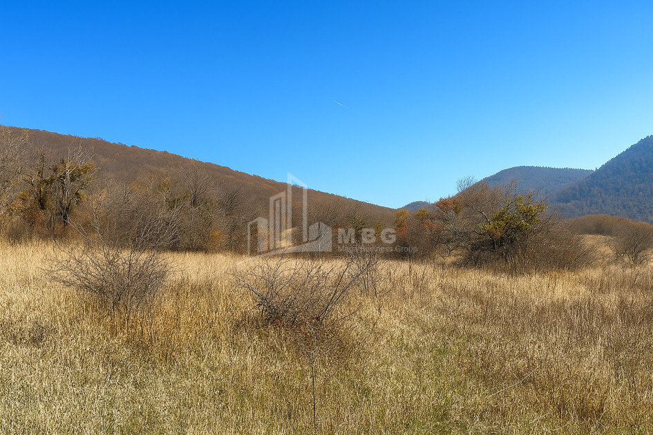 იყიდება მიწის ნაკვეთი ახალსოფელი თიანეთი მცხეთა   მთიანეთი