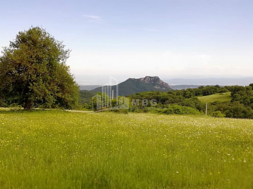 For Sale Construction - Investment Land, in Tetritskaro