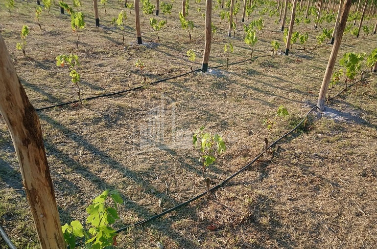 For Sale Land Gori Shida Kartli