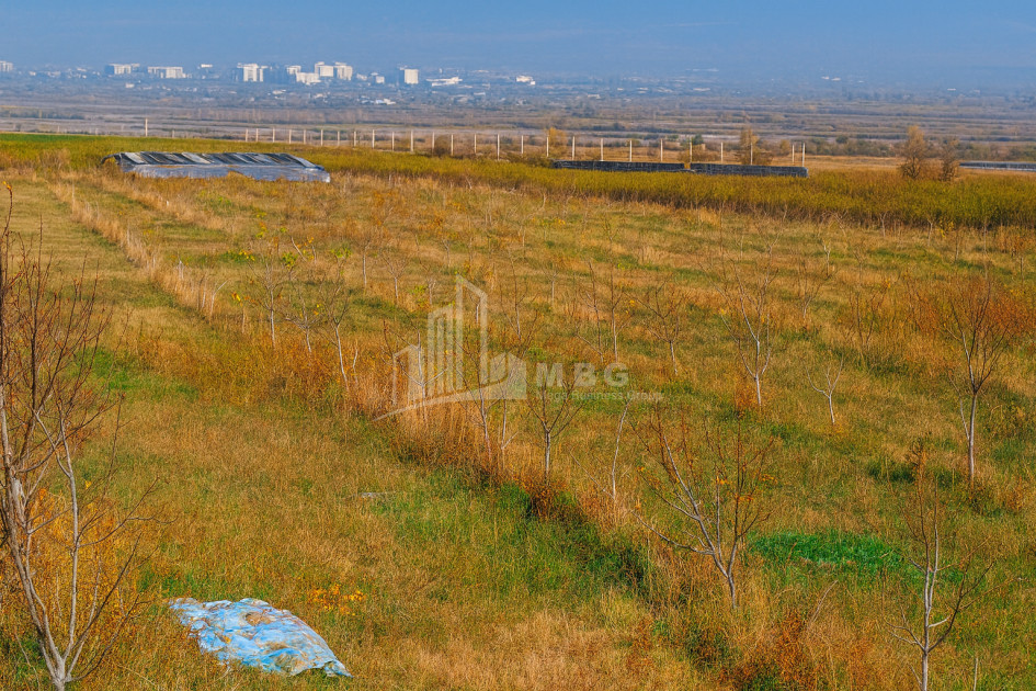 იყიდება მიწის ნაკვეთი სოფელი შაუმიანი მარნეული ქვემო ქართლი