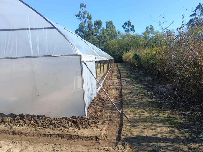 For Sale Land, Nosiri, Senaki, Samegrelo