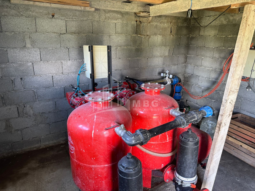 For Sale Vineyard - Chateau Land In Gori