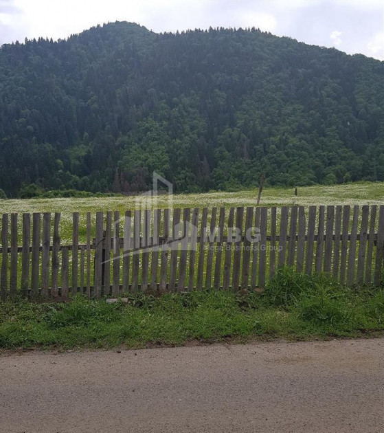 იყიდება სააგარაკე მიწის ნაკვეთი, ტბა