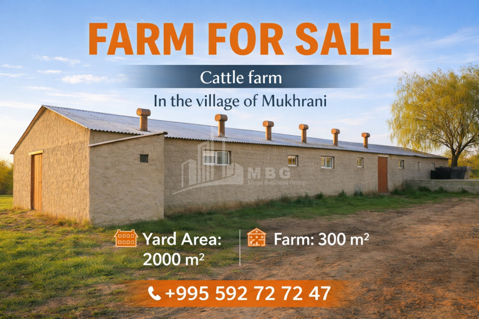 იყიდება კომერციული ფართი, მუხრანი, მცხეთა, მცხეთა - მთიანეთი