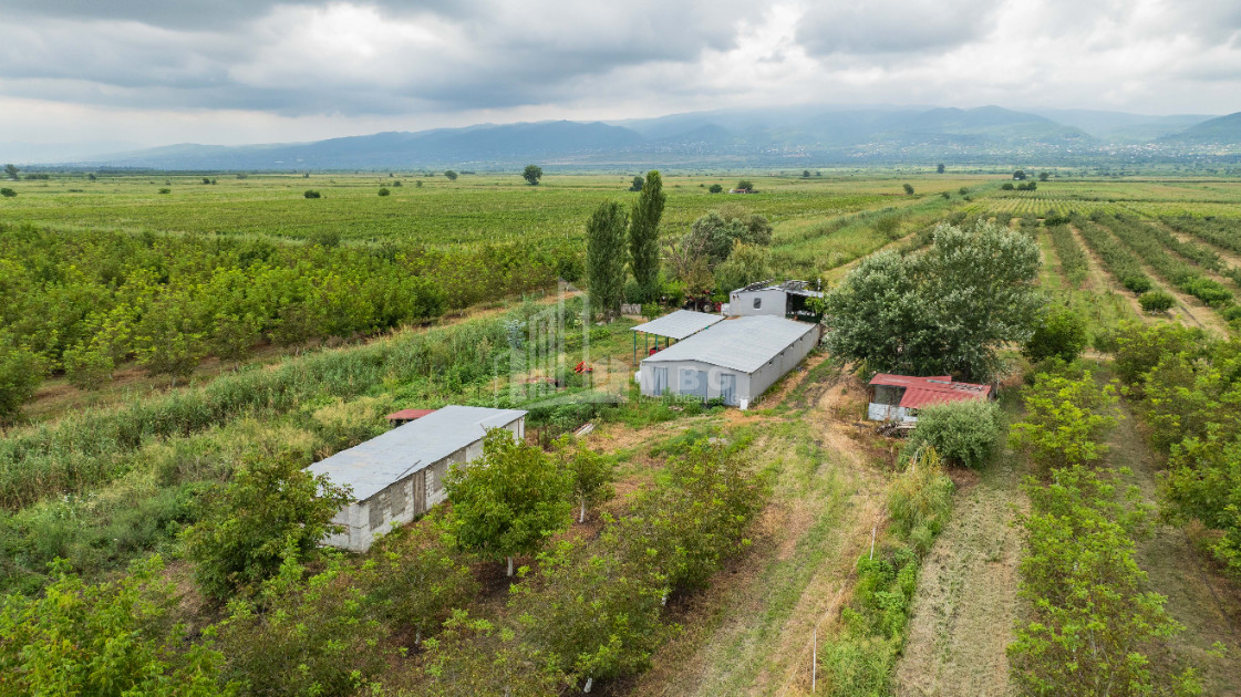 For Sale Land Kakheti