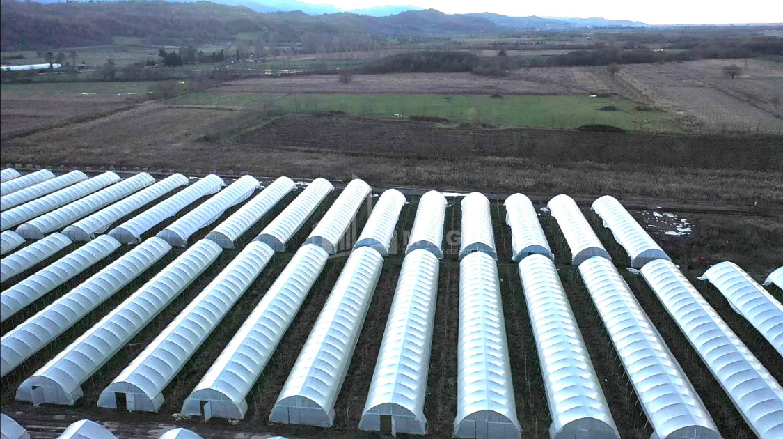 For Sale Land Vani Imereti