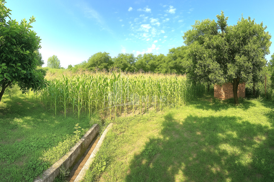 For Sale Land Poti Samegrelo   Upper Svaneti