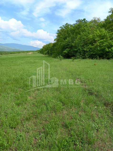 For Sale Country Land, in Village Baga