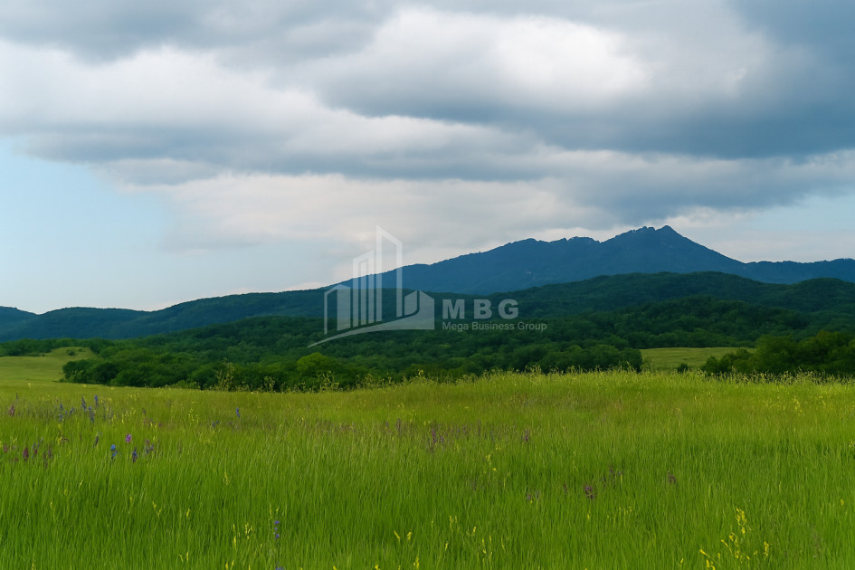 Продается Земля Гомбори Сагареджо Кахети