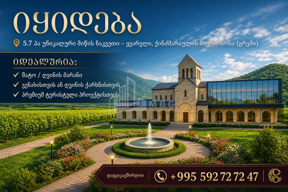 For Sale Vineyard - Chateau Land In Gremi, Kvareli